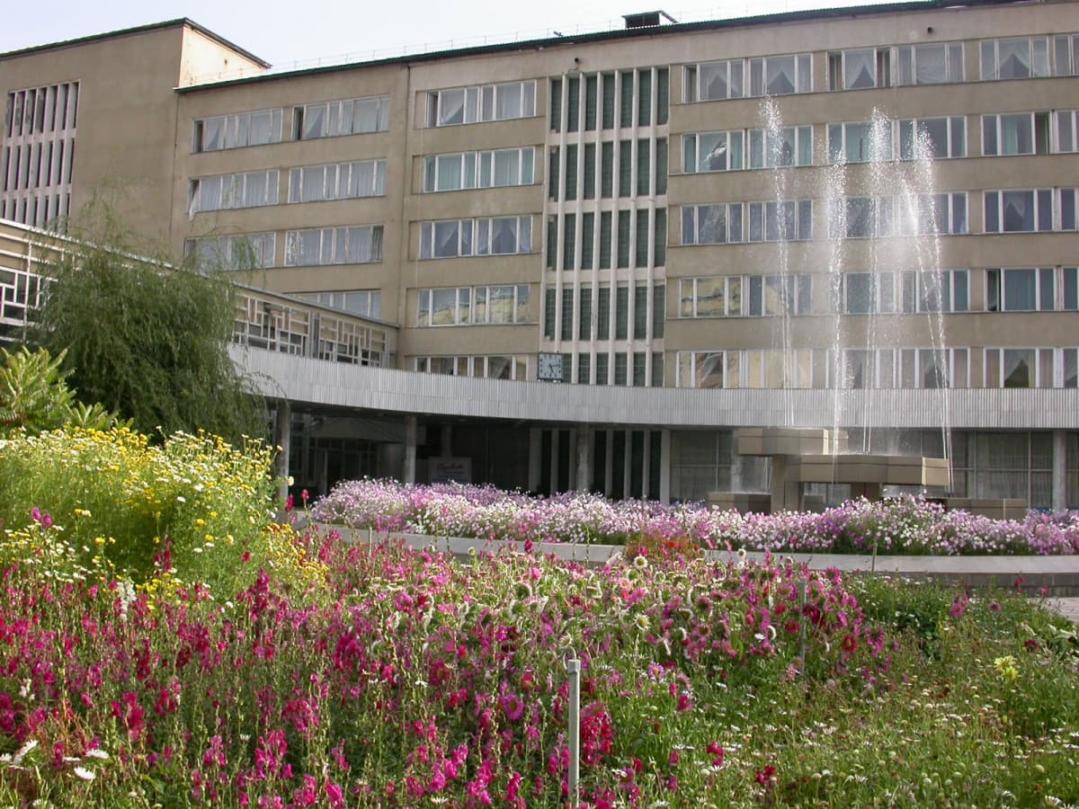 Main image